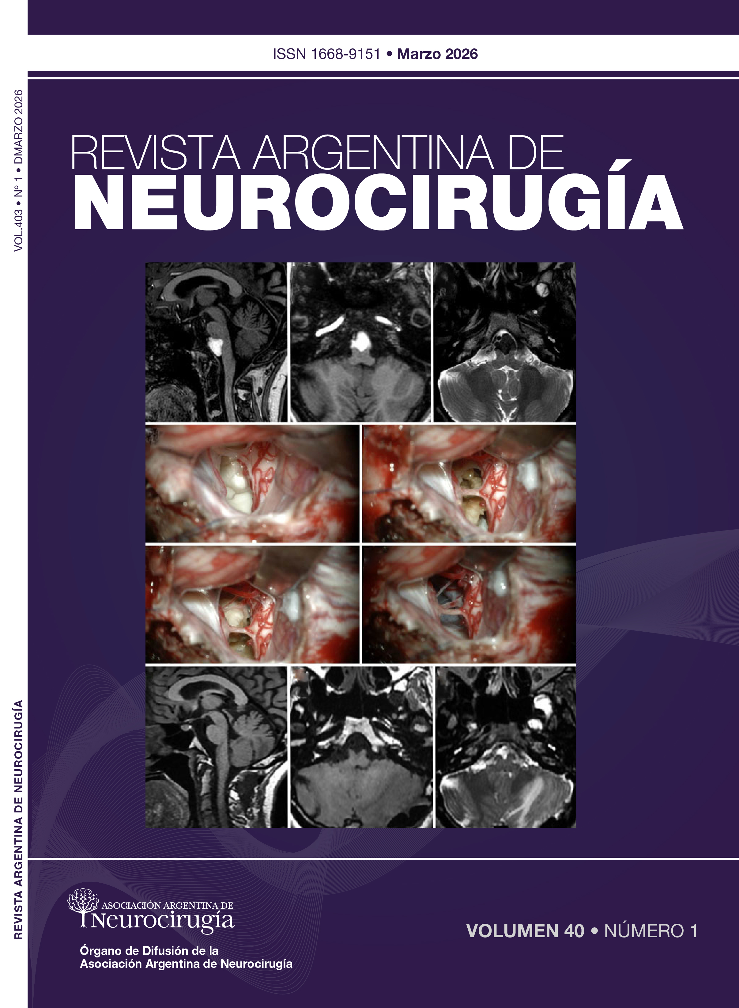 					Ver Vol. 40 Núm. 1 (2026): Revista Argentina de Neurocirugía
				